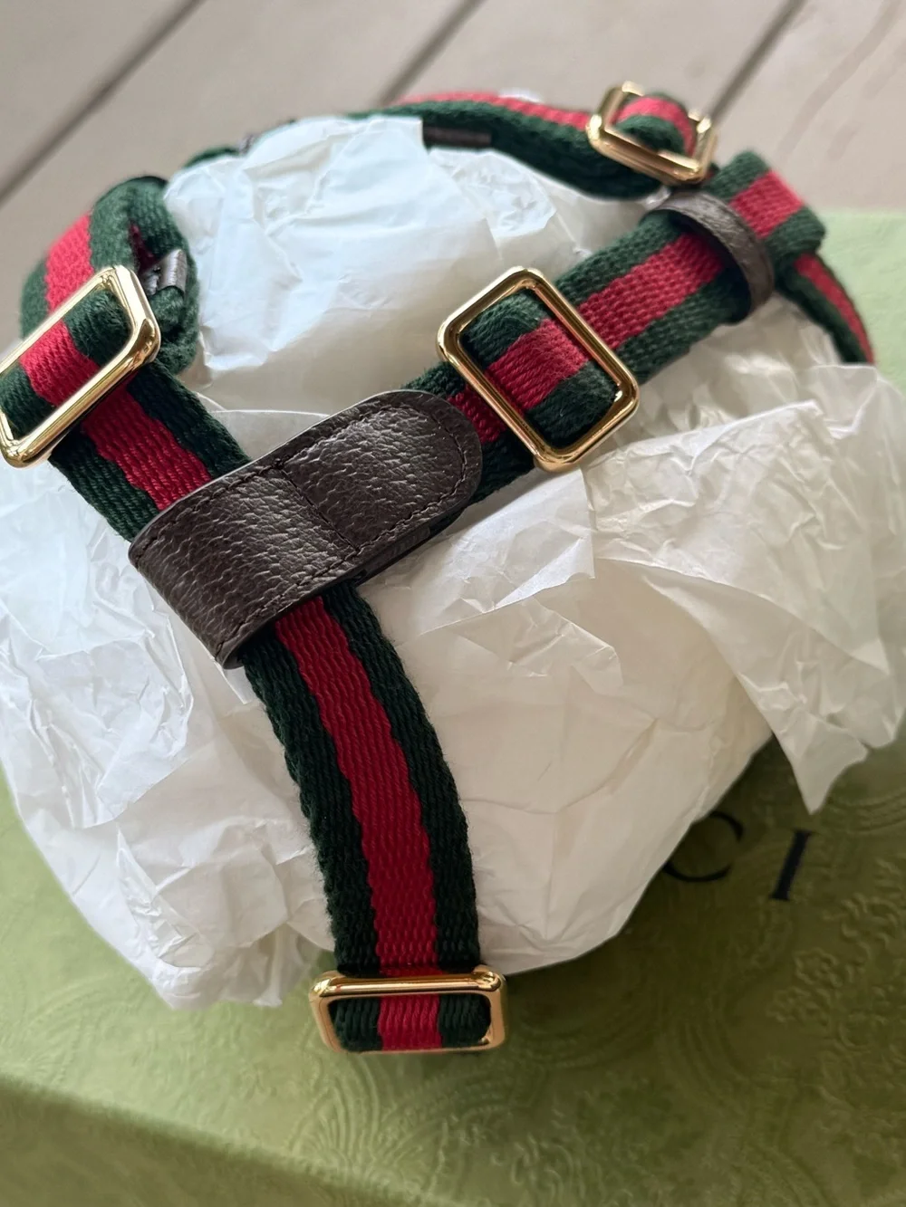 GUCCI Web Stripe S/M Faux Leather Dog Harness NEW